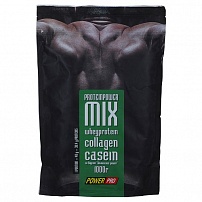 Proteinpower MIX 1000 гр